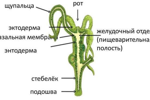 О сайте омг