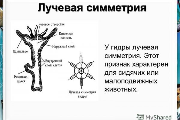 Сайт крамп ссылка kra.mp