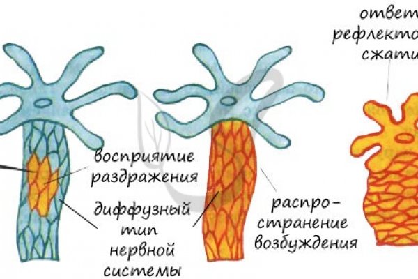 Правильная ссылка kraken