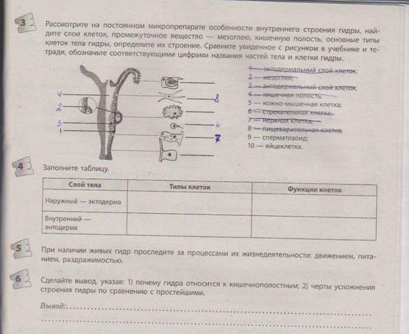 Как пишется сайт кракена