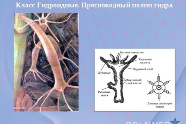 Обменник биткоин блэкспрут